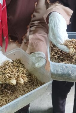 berita-rekomendasi-foto